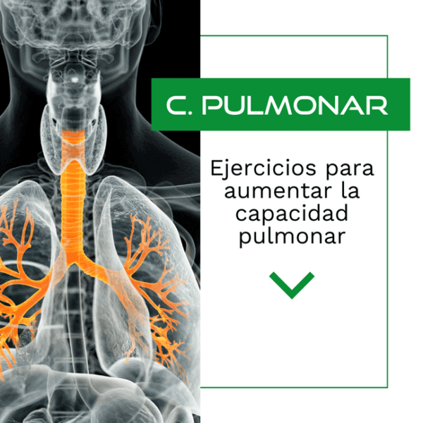 Imagen recuperada